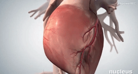 微信图片_20200930110617.gif