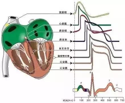 微信图片_20210315134741.jpg