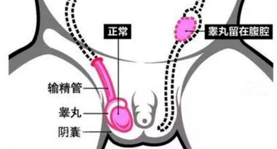 微信图片_20220510132027.png