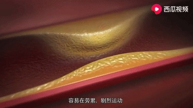 微信图片_20210426165812.png
