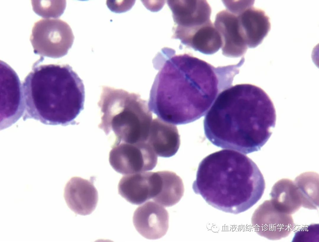 微信图片_20230112154312.jpg