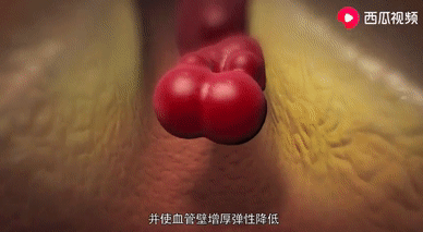 微信图片_20210426165753.png