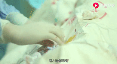 微信图片_20210426170949.png