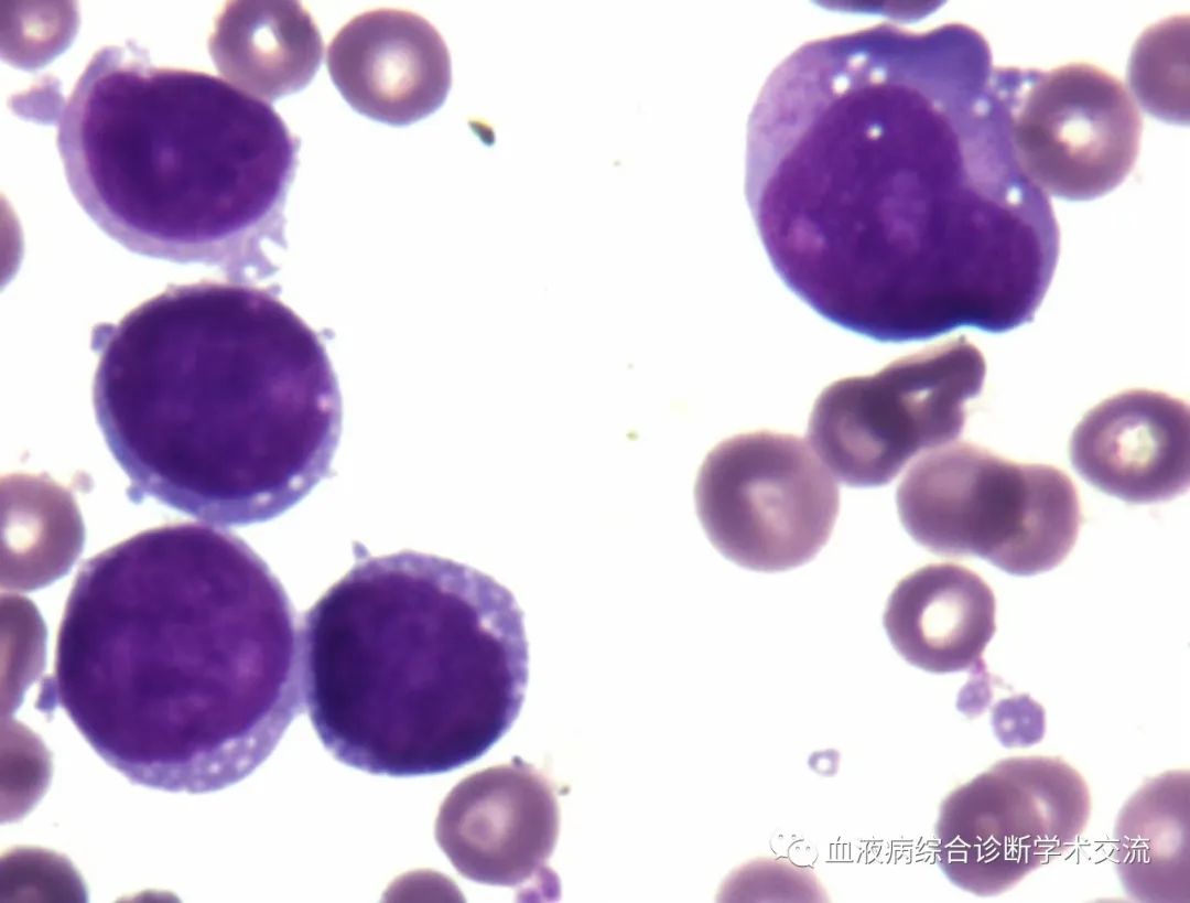 微信图片_20230112154316.jpg