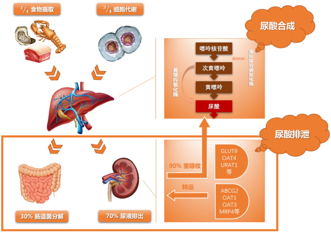 微信图片_20210531110201.png