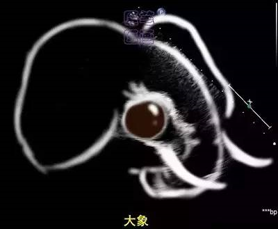 微信图片_20210123093343.png