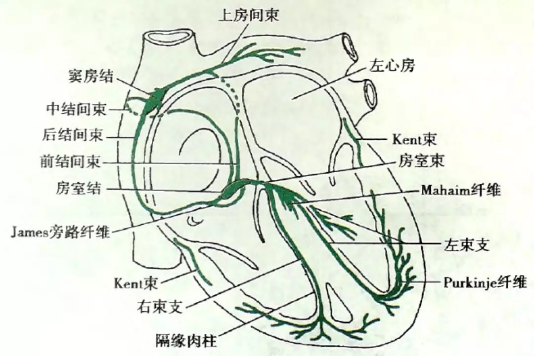 微信图片_20190122135438.png