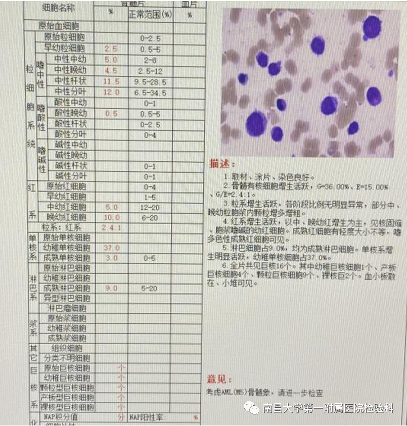微信图片_20230417132417.png