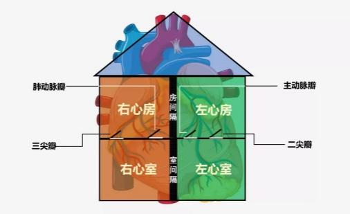 微信图片_20220425101406.png