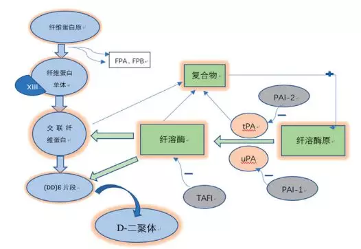 图12.png