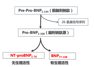 image005.png