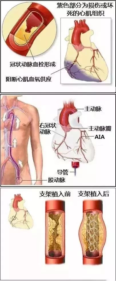 微信图片_20210315134739.jpg