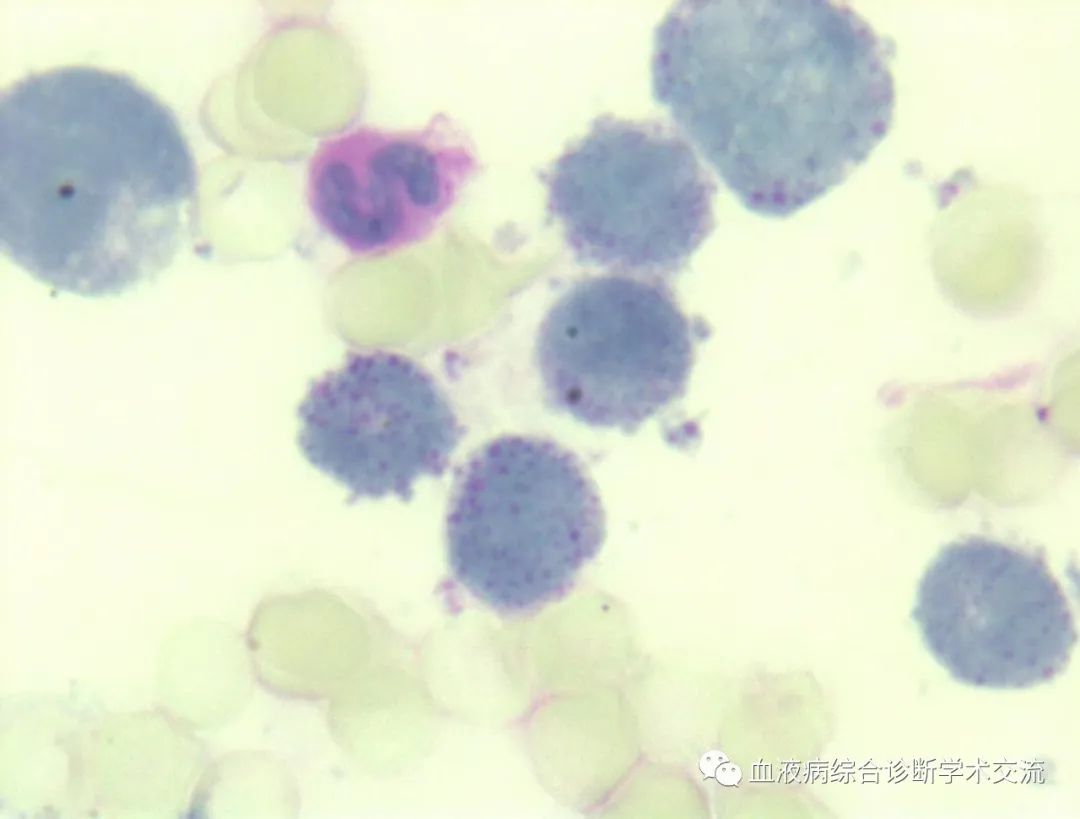 微信图片_20230112154325.jpg