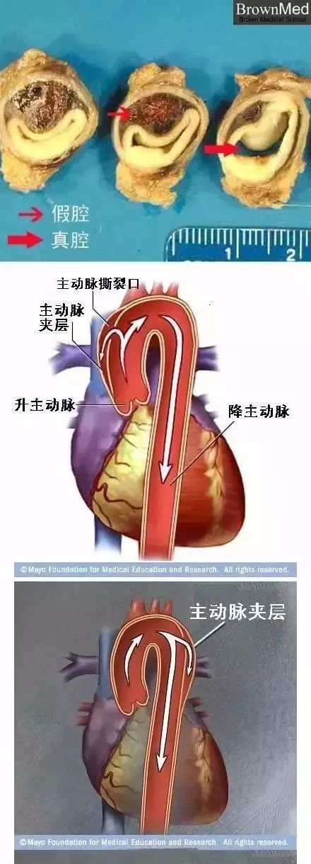 微信图片_20210315134731.jpg