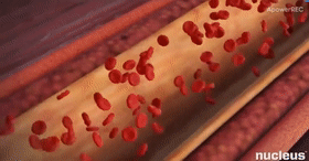 微信图片_20200930110601.gif