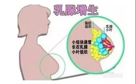 微信图片_20200627233146.jpg