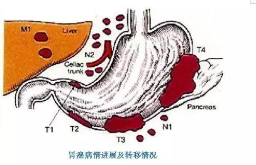 微信图片_20210205150118.jpg