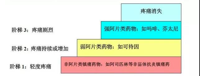 微信图片_20201224130402.jpg
