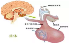 微信图片_20200820133625.png
