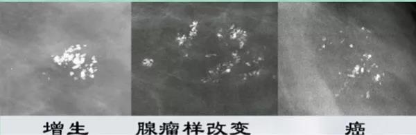 微信图片_20201109131125.jpg