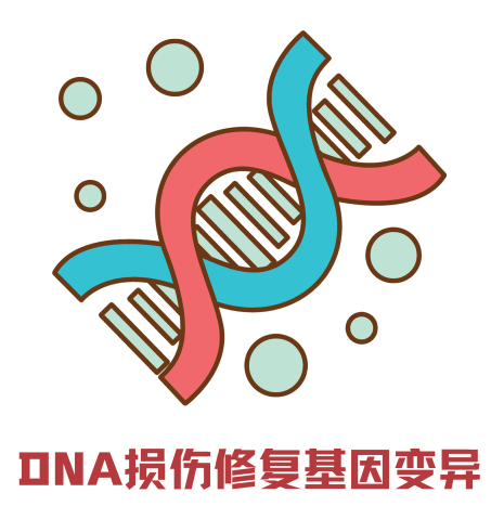 微信图片_20200729162822.png