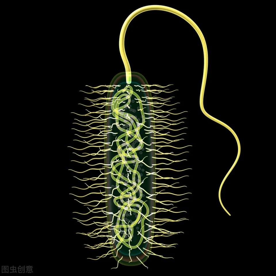 微信图片_20210115132255.jpg