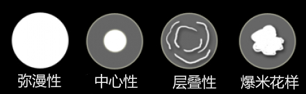 微信图片_20201214152237.png