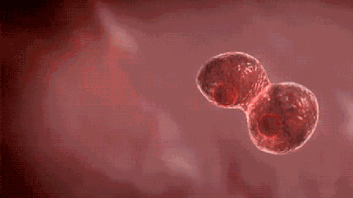 微信图片_20201021101946.gif