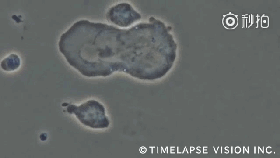 7.gif