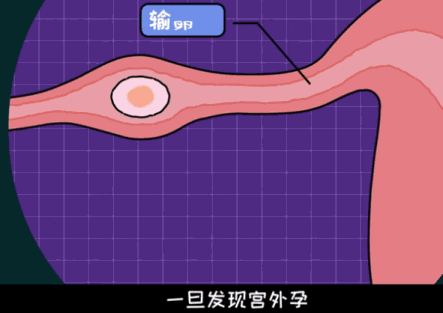 微信图片_20201026113303.gif