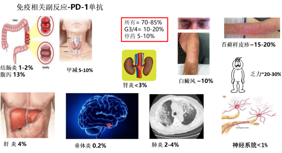 微信图片_20200904155944.png