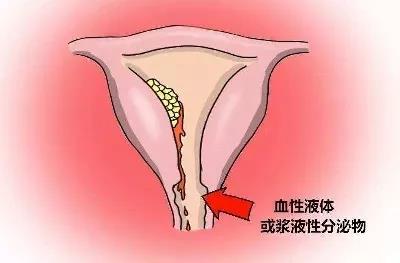 微信图片_20210115145231.jpg
