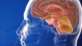 微信图片_20200820133717.gif