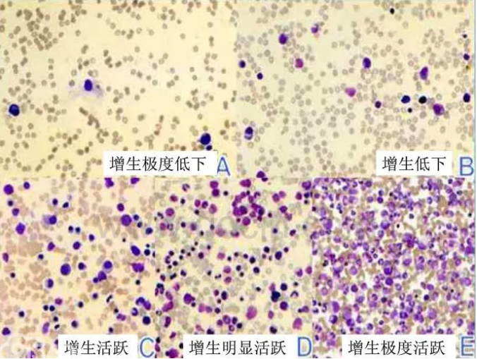 微信图片_20210125130314.png