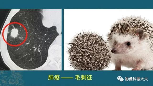 微信图片_20200901164557.jpg