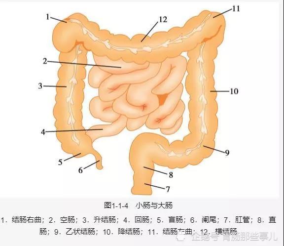 微信图片_20210222102319.jpg