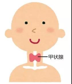微信图片_20200701131348.jpg