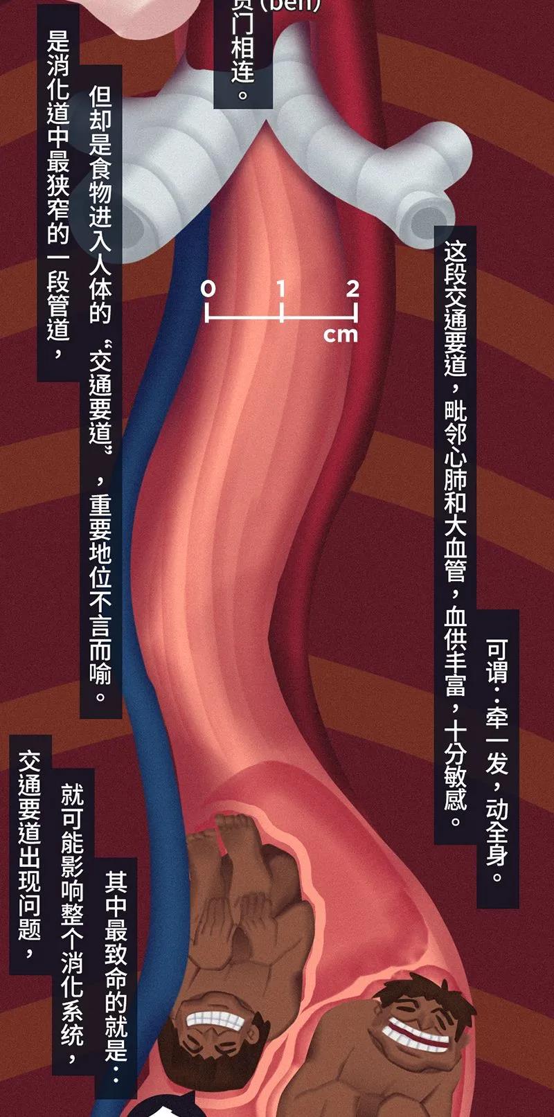 加.jpg