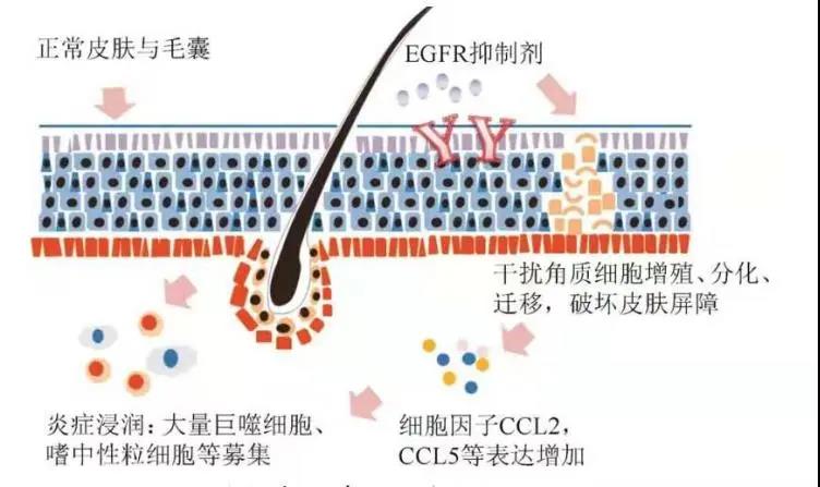 微信图片_20210127100904.jpg