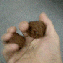 微信图片_20200701132933.gif