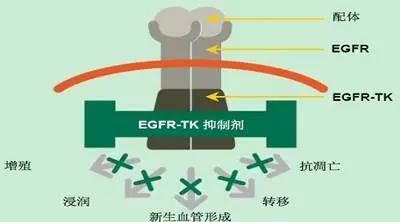 微信图片_20210127100858.jpg
