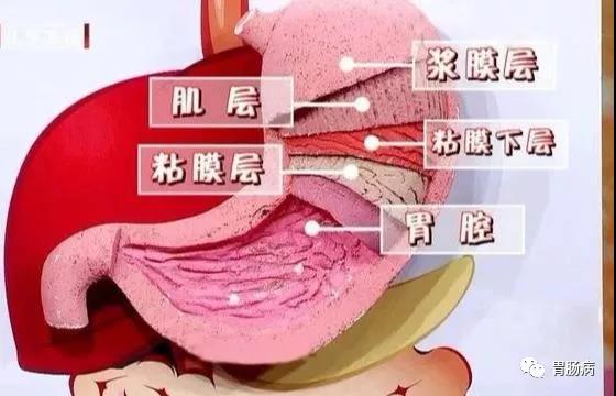 微信图片_20210107095511.jpg