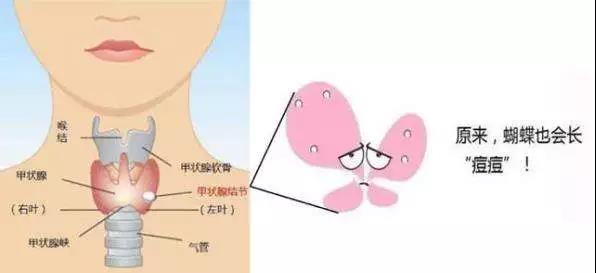 微信图片_20200930165623.jpg