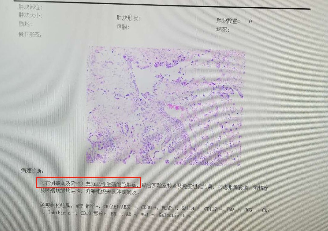 微信图片_20200701132930.jpg