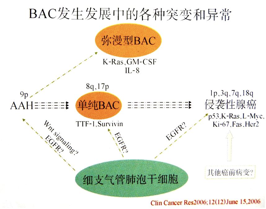 微信图片_20210201172323.jpg