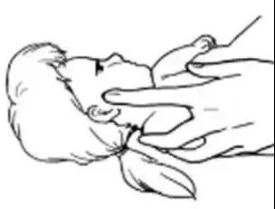 微信图片_20200909142027.jpg