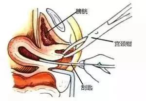 微信图片_20210115145254.jpg