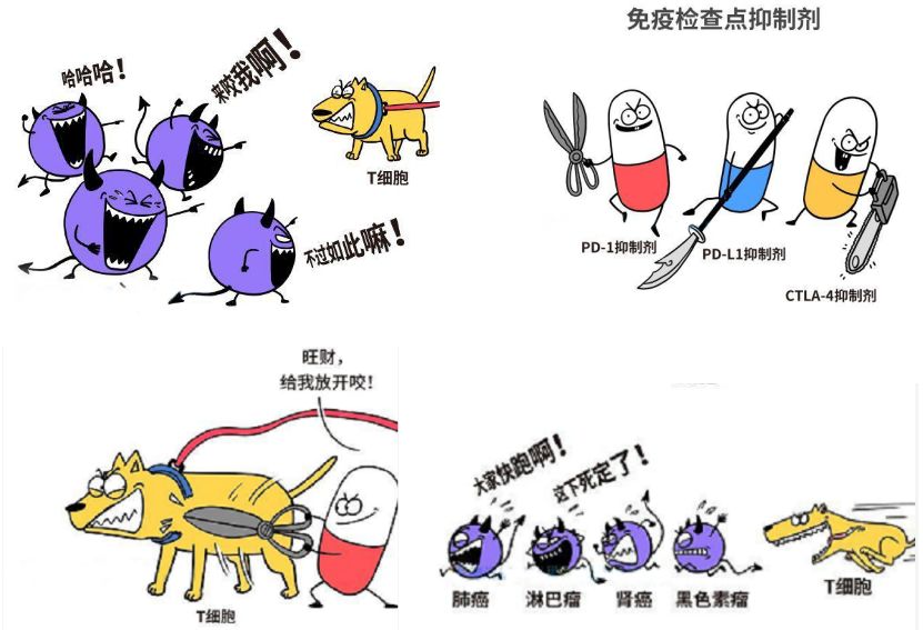 微信图片_20200904155932.png