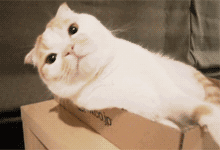 微信图片_20200617142038.gif