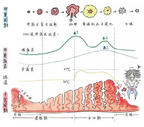 微信图片_20201209132532.jpg